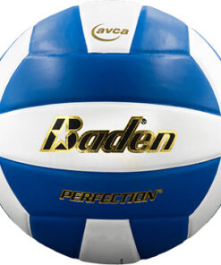 VX5EC BADEN PERFECTION VOLLEYBALL