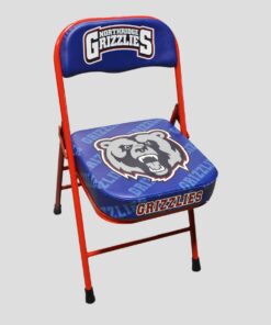 Custom Basketball Chairs