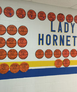 Spirit Basketball Kit