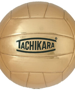 Autograph Volleyball