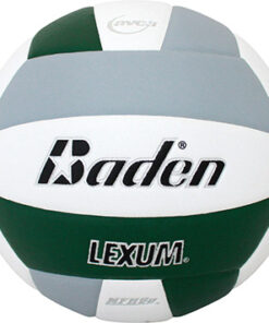 Baden lexum volleyball forest gray white