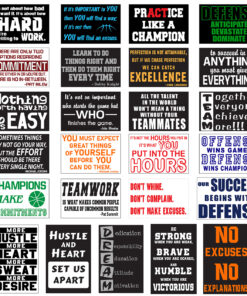 Alternative view of Motivational Signs