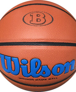 Wilson Evolution Basketball Custom Stamped