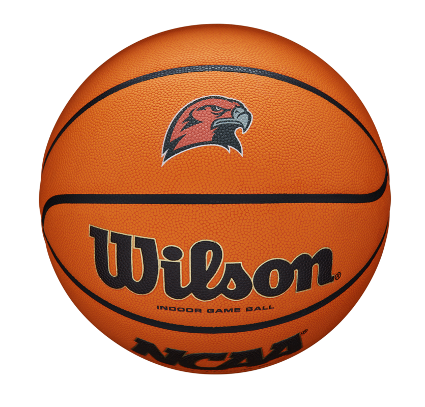 Wilson Evo NTX Basketball Custom with your team logo KBA