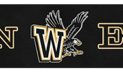 custom gym floor runner