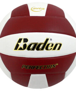 Baden Perfection Leather Volleyball