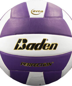 Baden Perfection Leather Volleyball