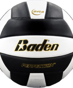 VX5EC BADEN PERFECTION VOLLEYBALL