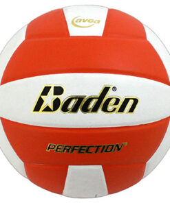 Baden Perfection Leather Volleyball