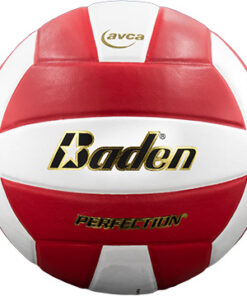 VX5EC BADEN PERFECTION VOLLEYBALL