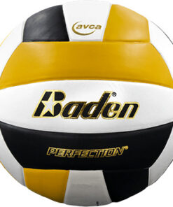 VX5EC baden perfection volleyball black yellow